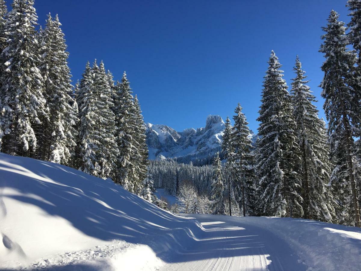 Apartment Kraemerhaus Annaberg, Dachstein West Kültér fotó